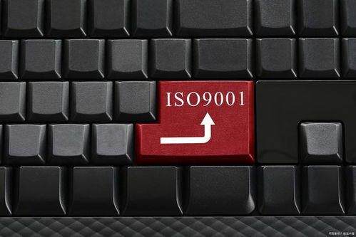 為何這些企業無需進行ISO 9001認證？