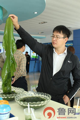 山東海之寶:深耕&ldquo;藍色土地&rdquo; 為國人生產優質海帶產品 - 全省 - 全景山東 - 魯網